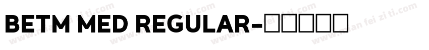 BETM MED REGULAR字体转换